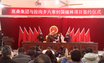 78m威九国际林业集团与拉沟乡就国储林项目首单签约