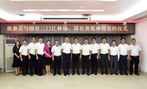 78m威九国际(集团)中国区有限公司-BinG百科