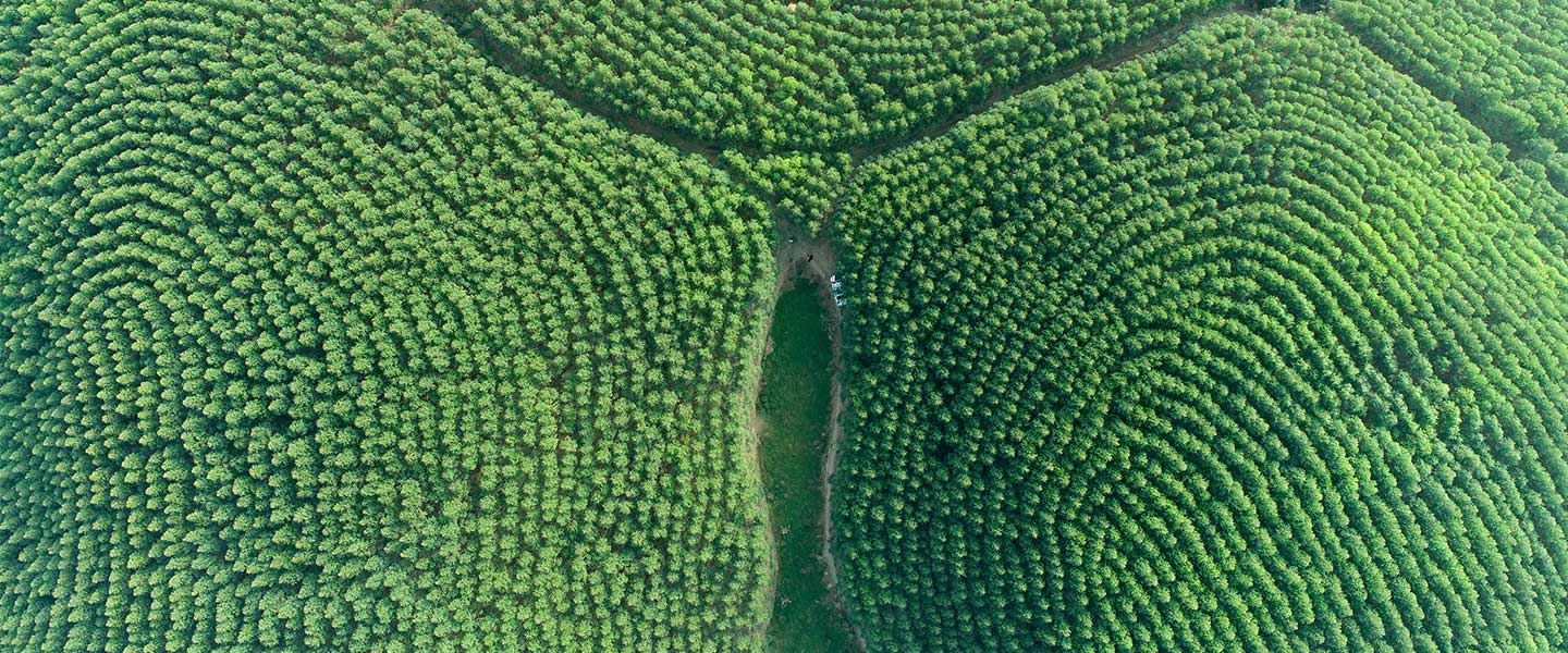 78m威九国际(集团)中国区有限公司-BinG百科