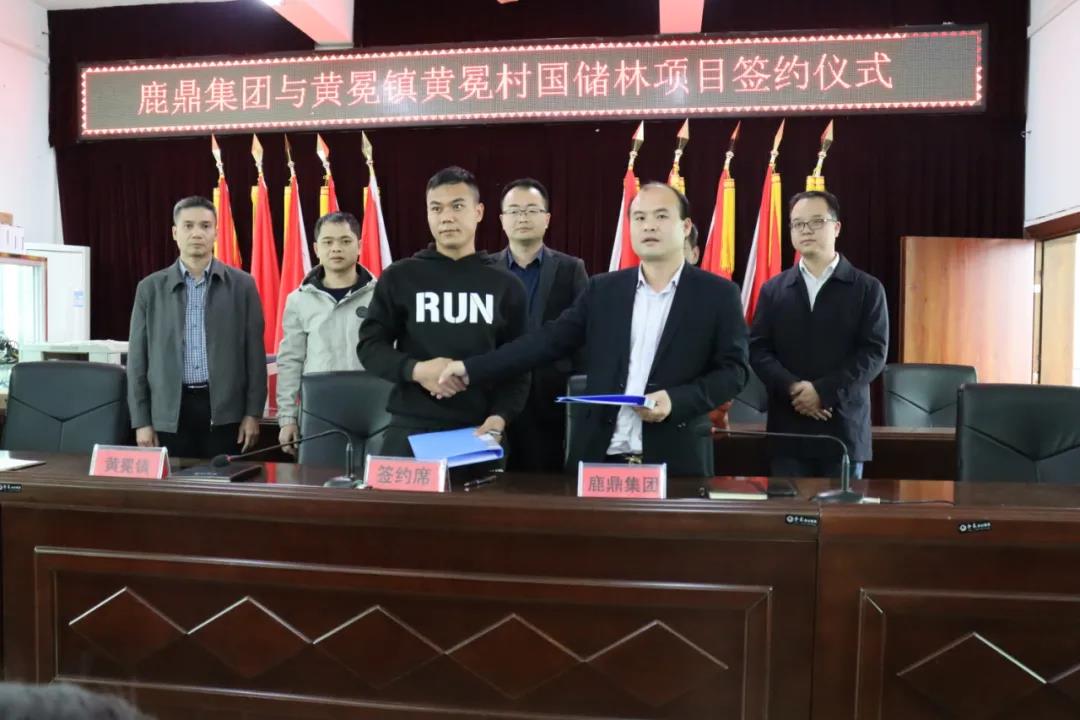 黄冕镇国储林项目首单签约