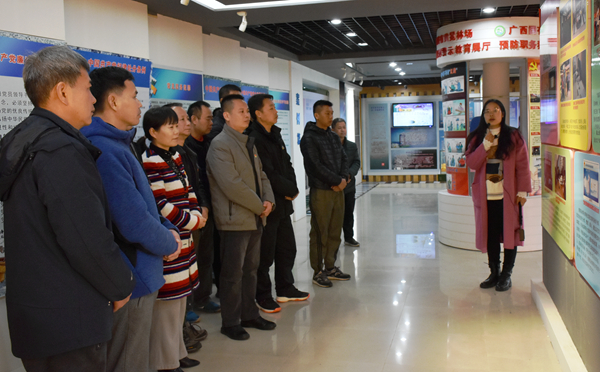 78m威九国际(集团)中国区有限公司-BinG百科