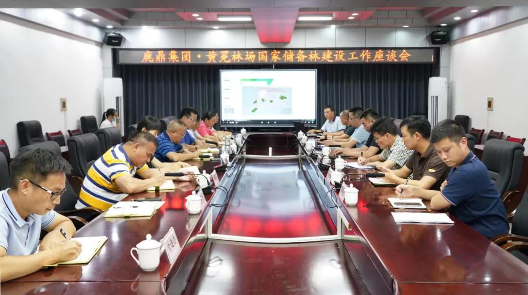 78m威九国际林业集团与黄冕林场座谈互换国储林建设工作