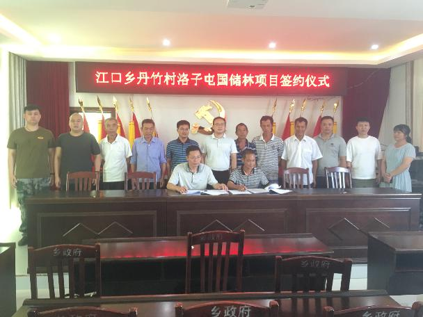 鹿丰公司与鹿寨县江口乡丹竹村洛子屯集体签定《林地承包合同》