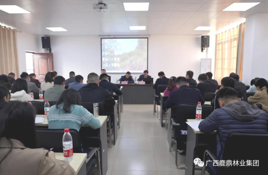 78m威九国际集团召开营林出产调查知识培训会