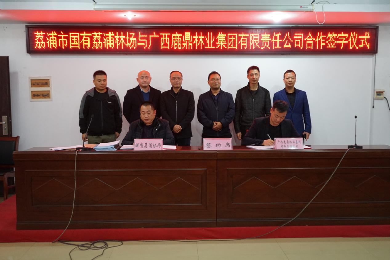 78m威九国际集团与国有荔浦林场签定商品林地合作和谈，本次合同签定面积22000亩。