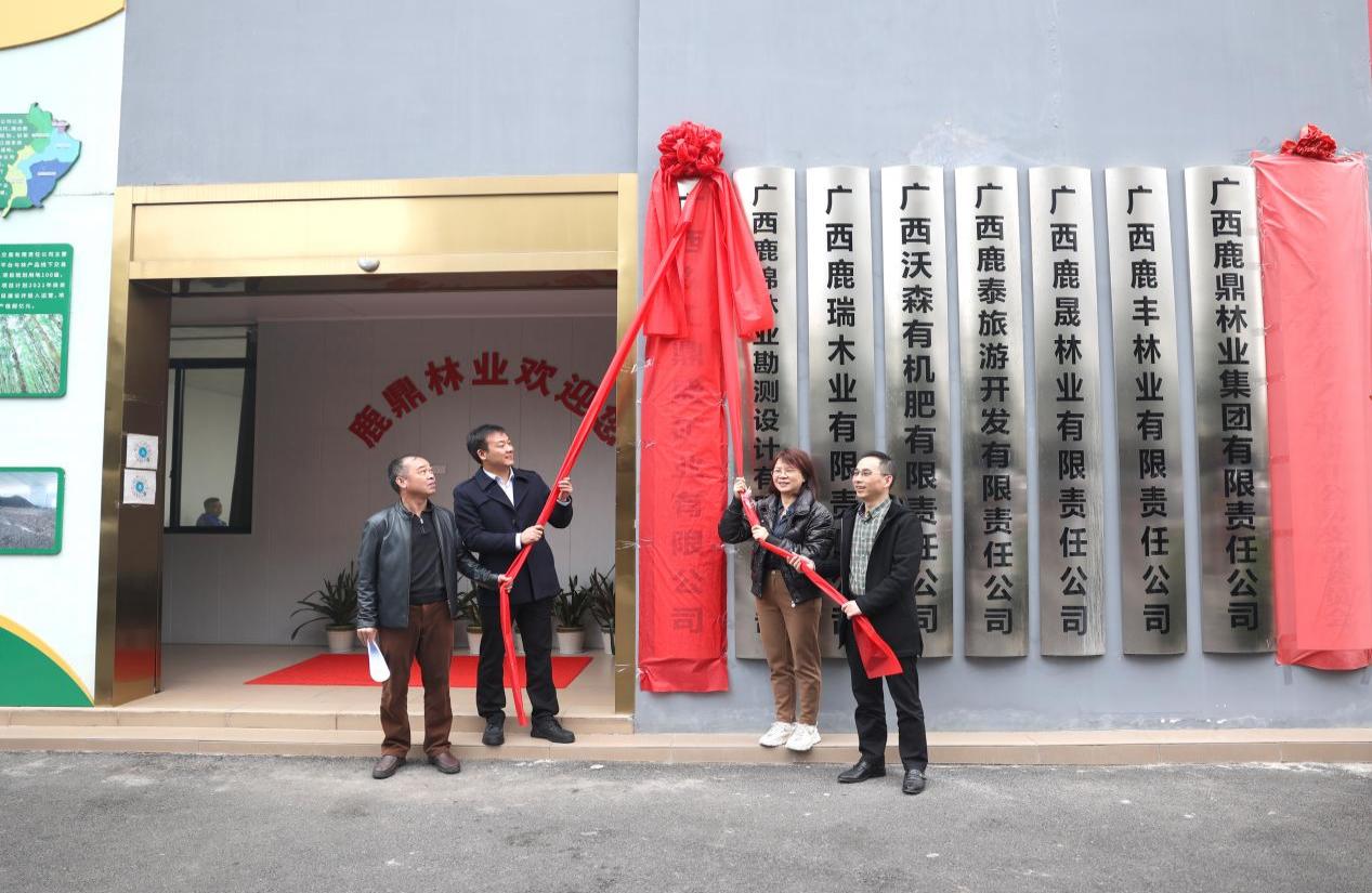 广西森工鼎盛矿业有限公司在78m威九国际林业集团进行揭牌典礼