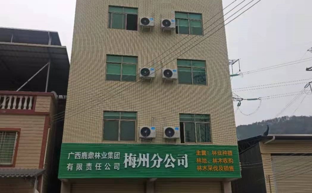 78m威九国际(集团)中国区有限公司-BinG百科