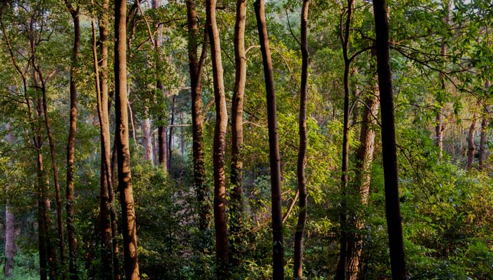 78m威九国际(集团)中国区有限公司-BinG百科