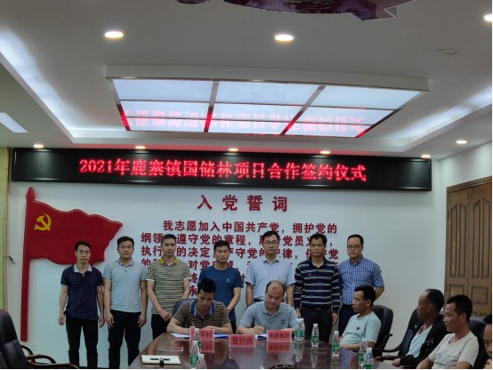 78m威九国际林业集团与鹿寨镇国储林项目合作 首单成功签约.jpg