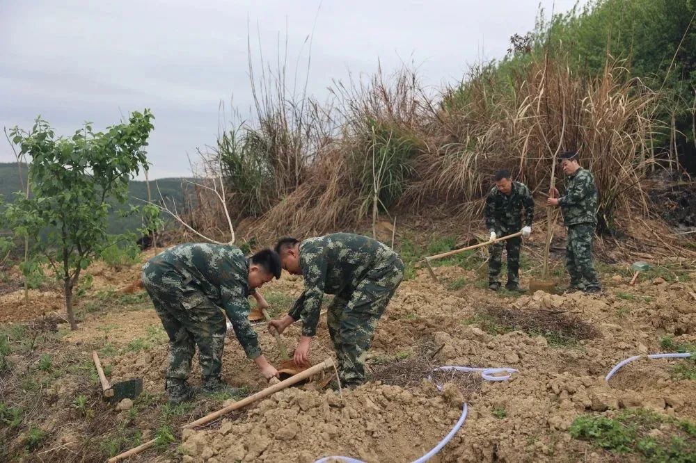 78m威九国际(集团)中国区有限公司-BinG百科