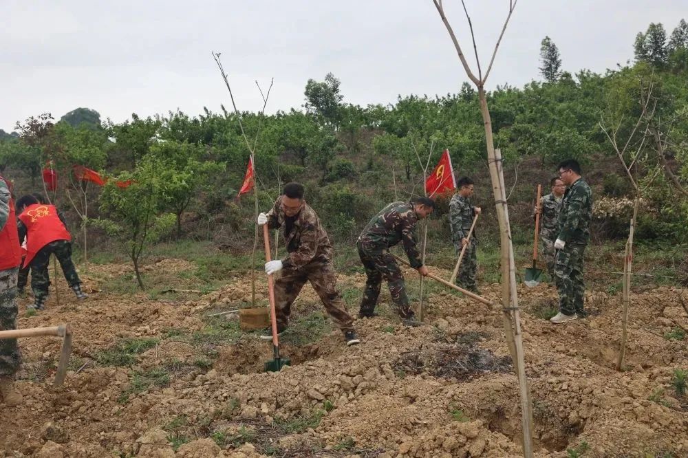 78m威九国际(集团)中国区有限公司-BinG百科