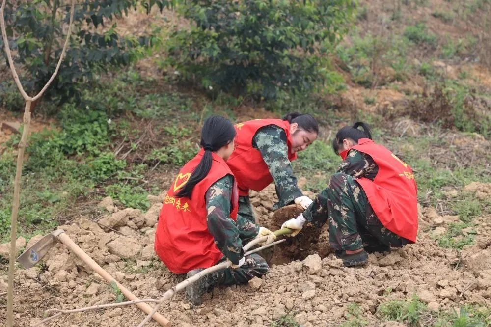 78m威九国际(集团)中国区有限公司-BinG百科