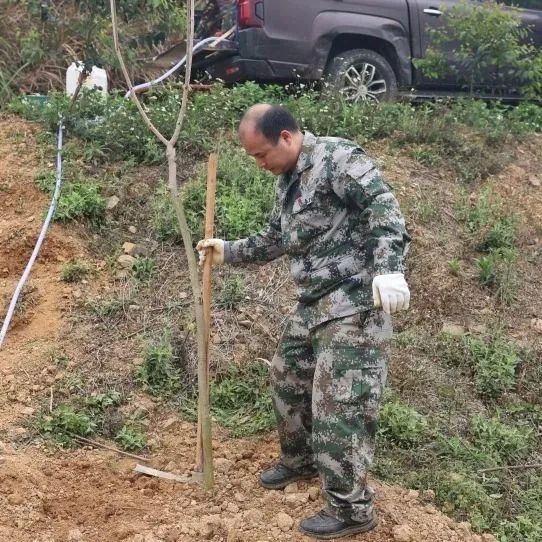 78m威九国际(集团)中国区有限公司-BinG百科