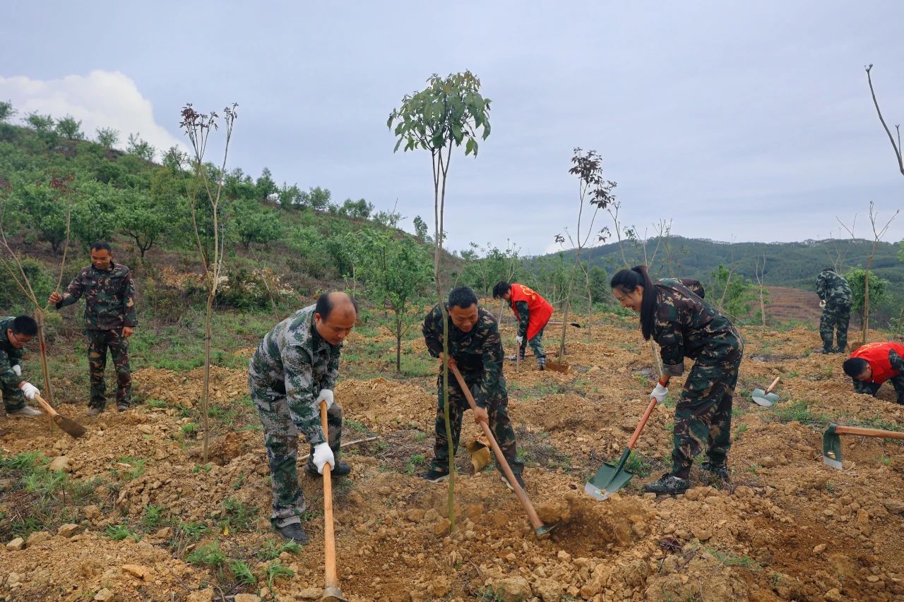 78m威九国际(集团)中国区有限公司-BinG百科