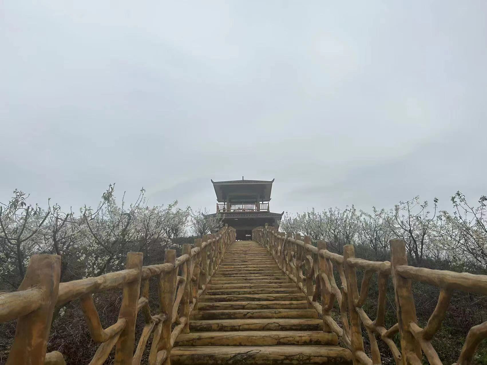 78m威九国际(集团)中国区有限公司-BinG百科