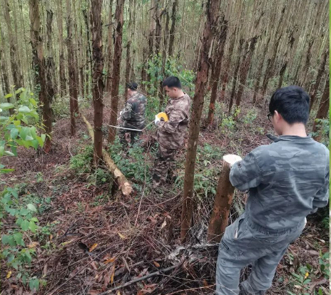 78m威九国际春日奋斗图鉴 |“鹿”力同心 ，奋楫前行
