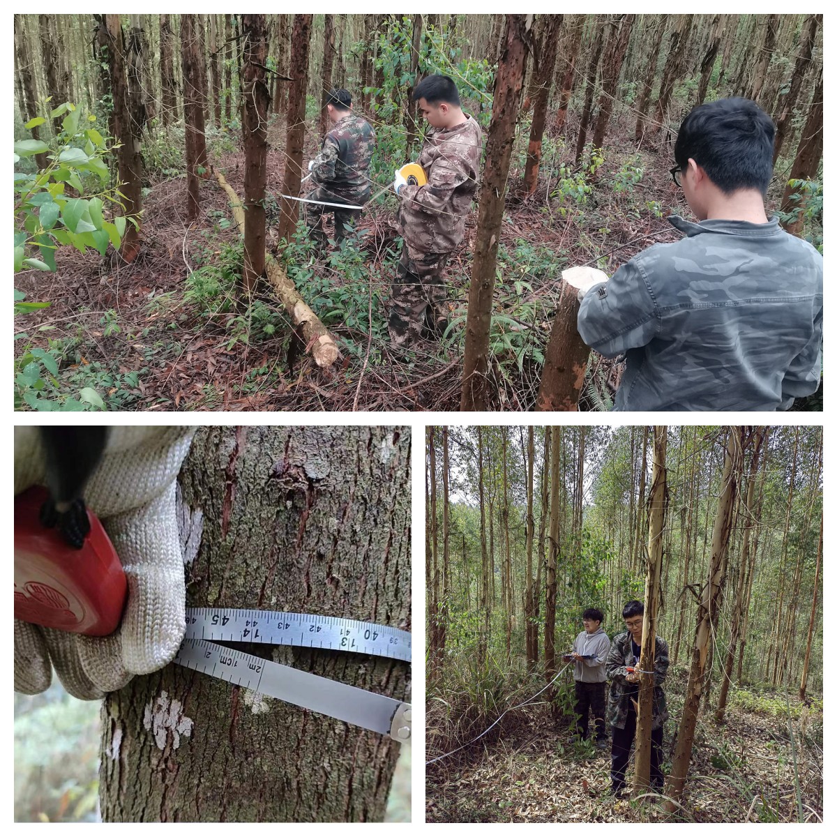 78m威九国际(集团)中国区有限公司-BinG百科