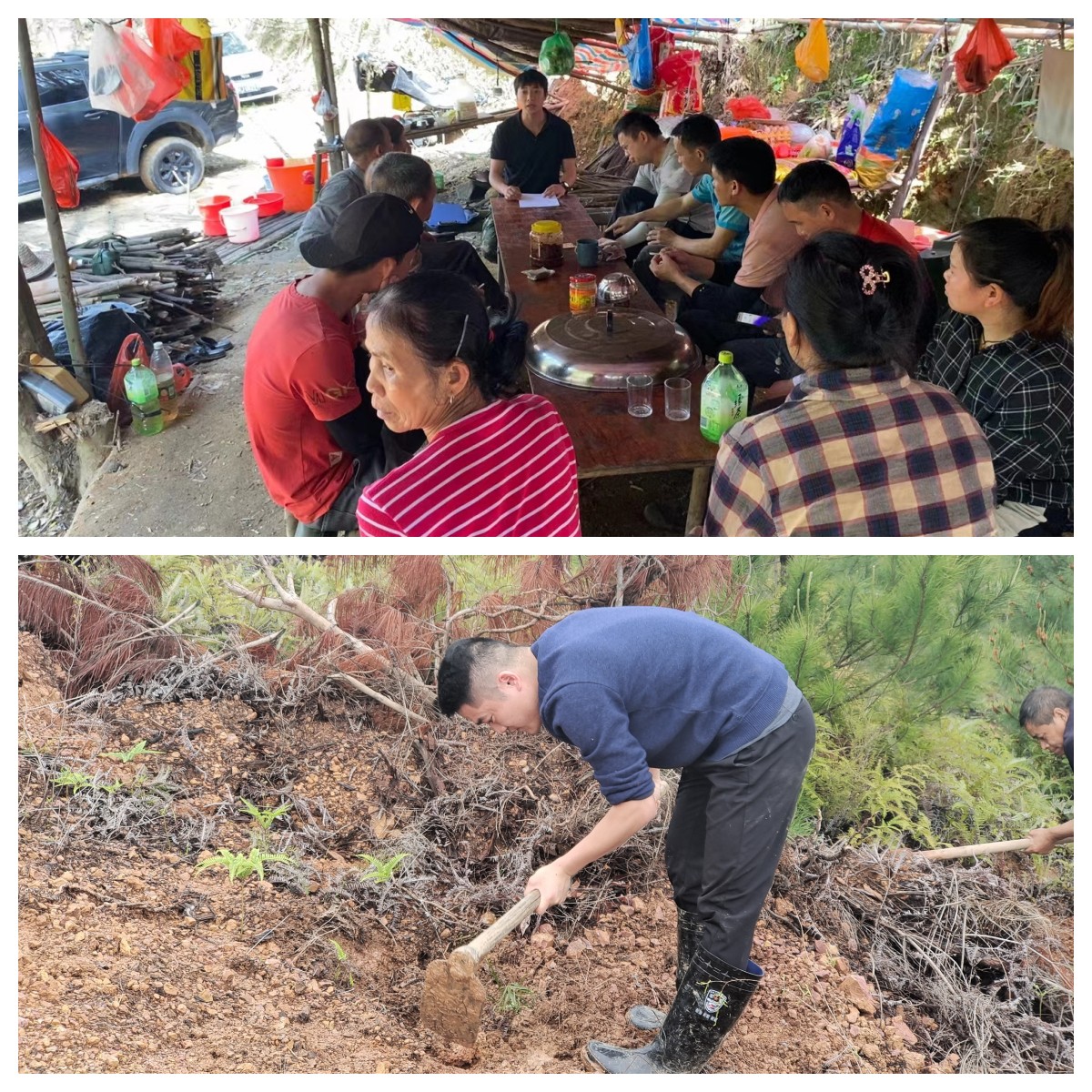 78m威九国际(集团)中国区有限公司-BinG百科