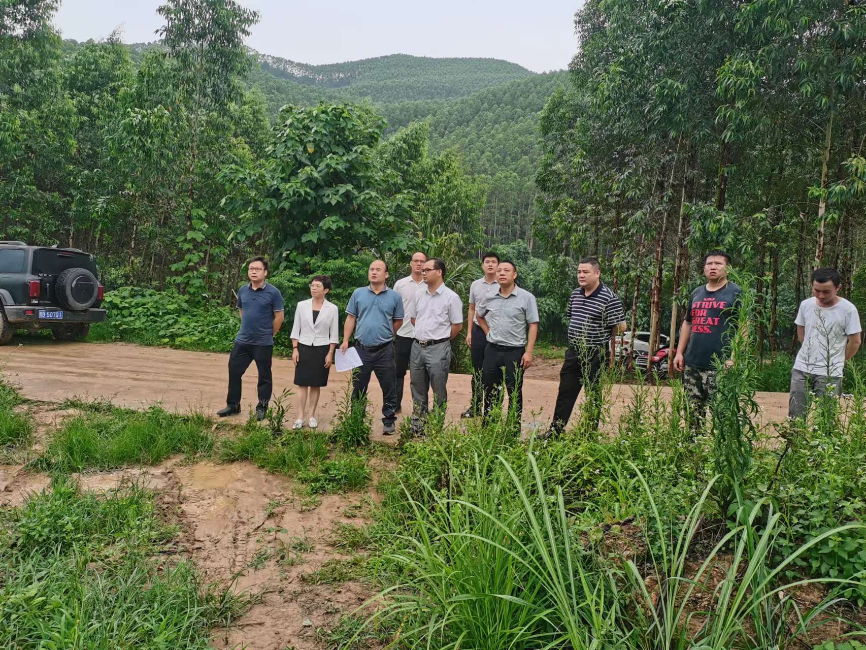 78m威九国际(集团)中国区有限公司-BinG百科