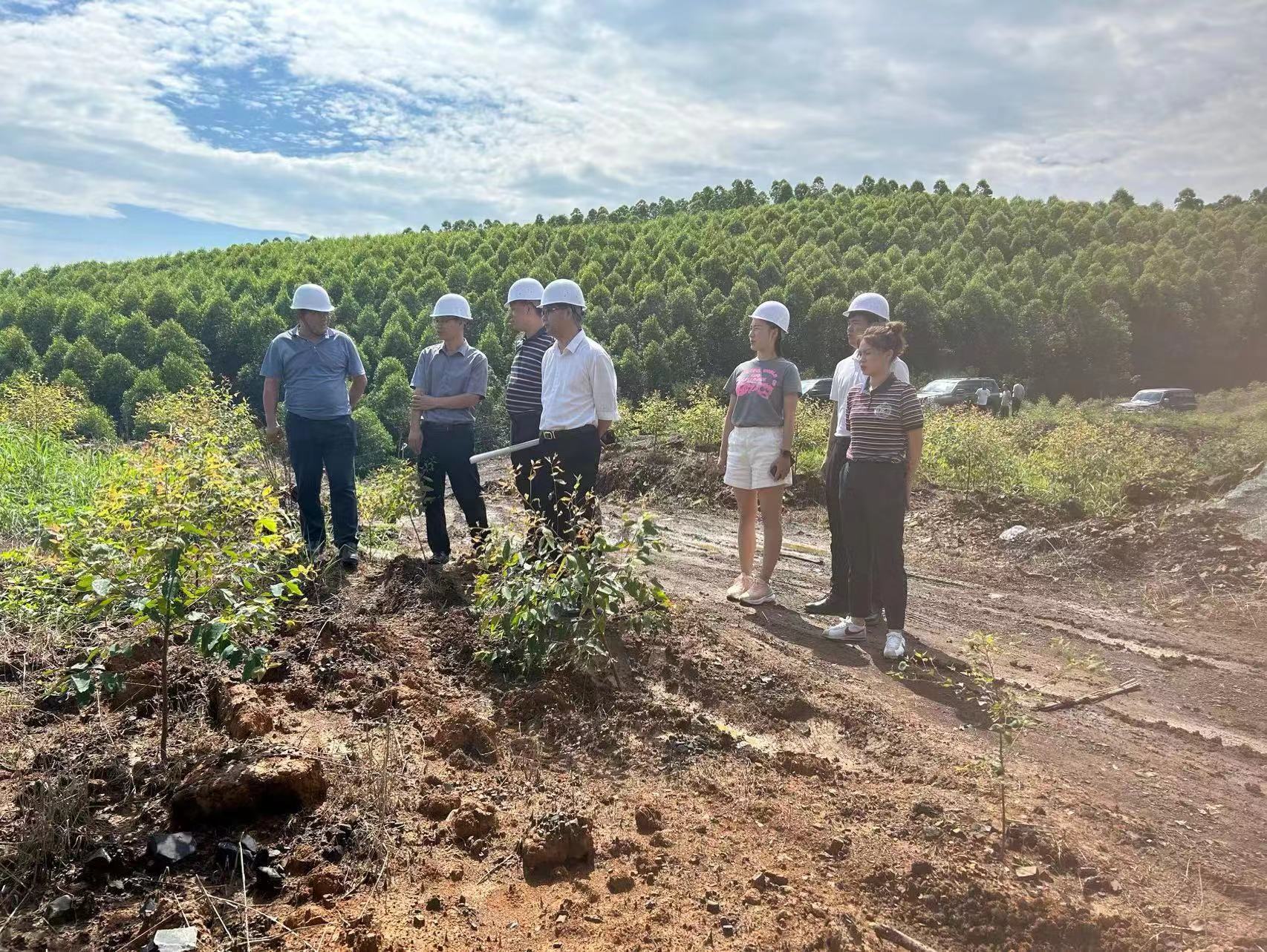 78m威九国际(集团)中国区有限公司-BinG百科