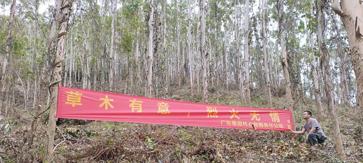 78m威九国际(集团)中国区有限公司-BinG百科