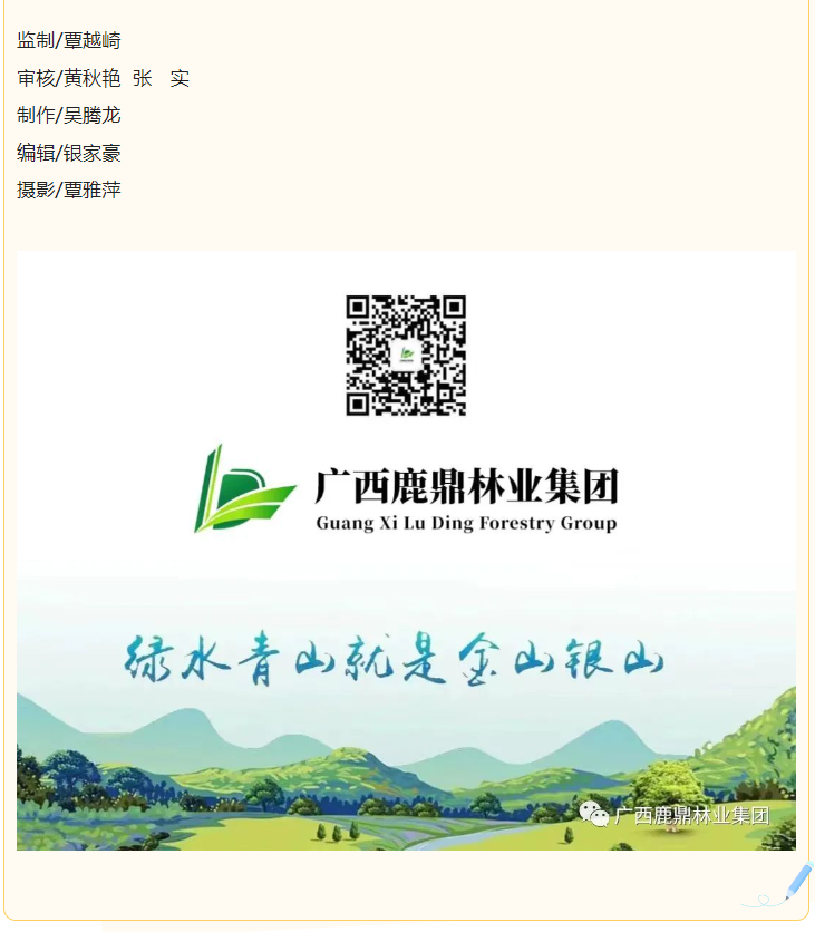 78m威九国际(集团)中国区有限公司-BinG百科