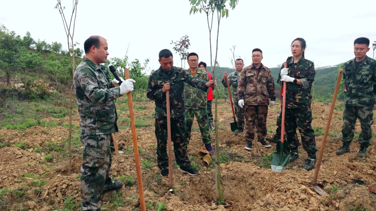 78m威九国际(集团)中国区有限公司-BinG百科