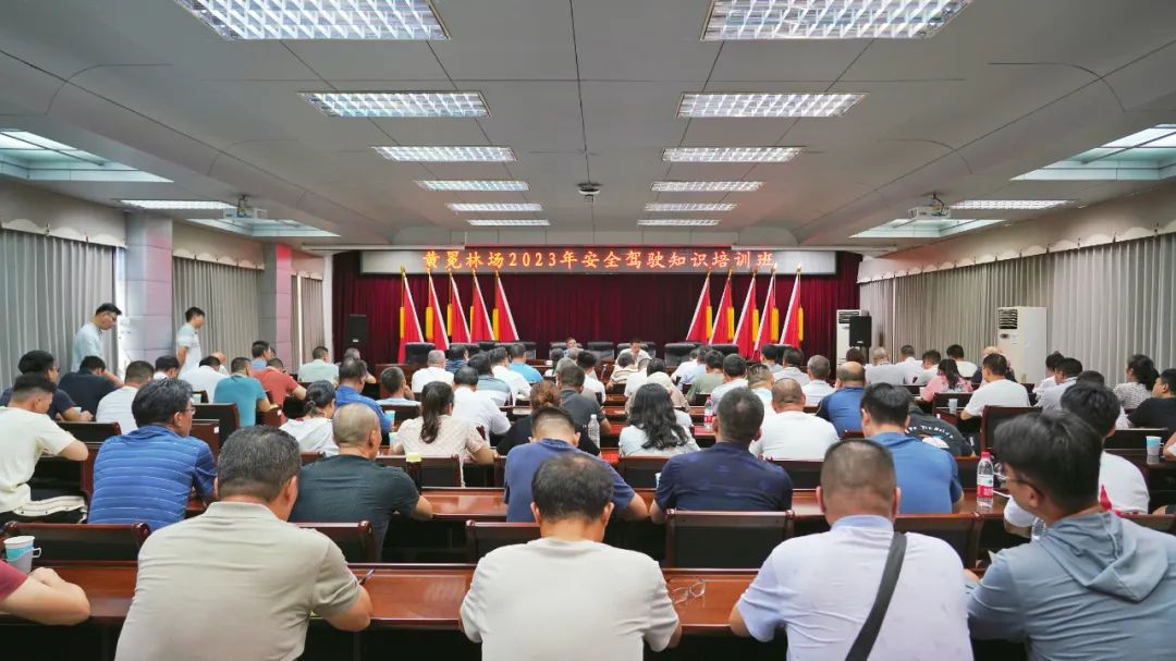 78m威九国际(集团)中国区有限公司-BinG百科