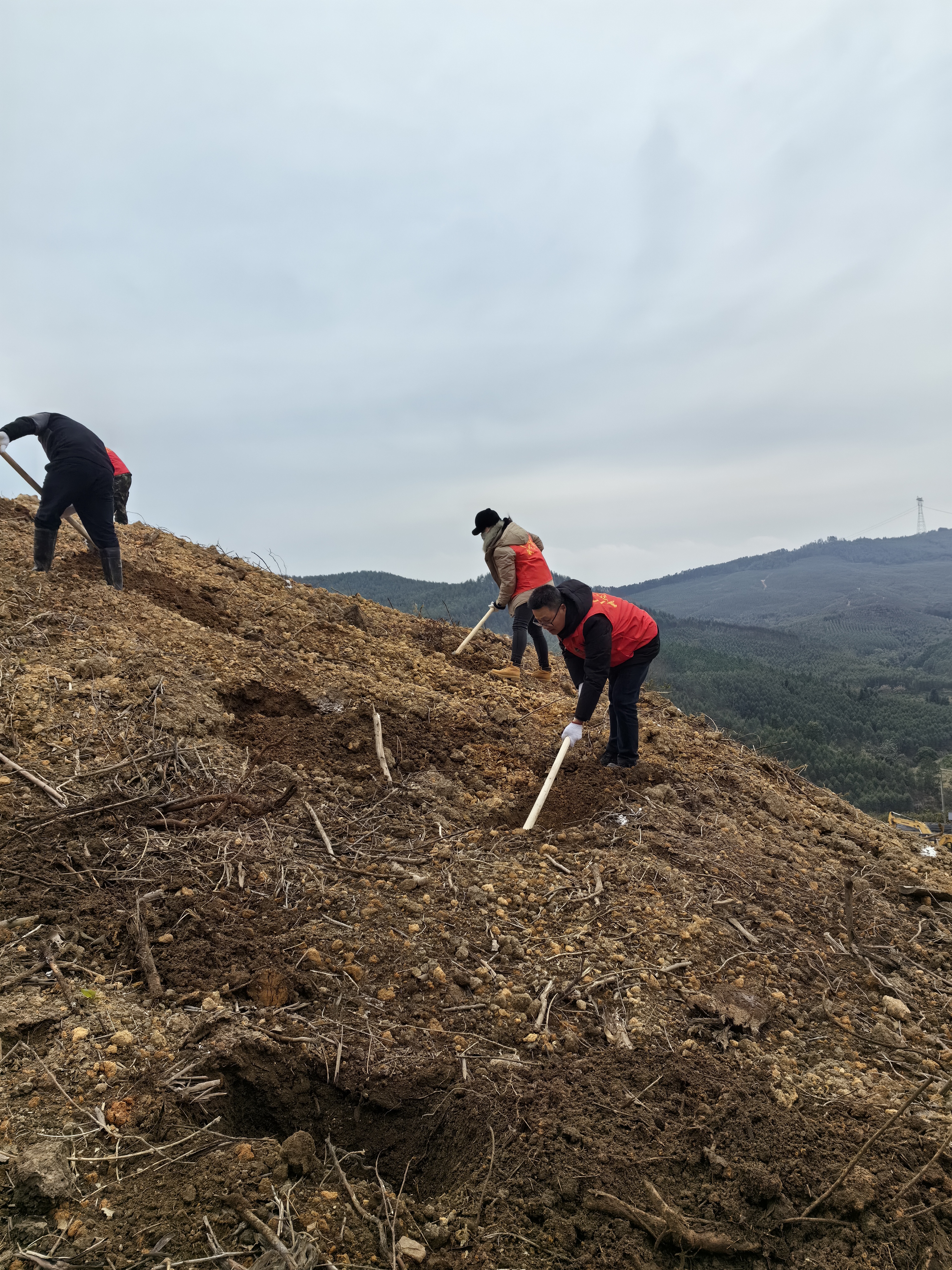 78m威九国际(集团)中国区有限公司-BinG百科