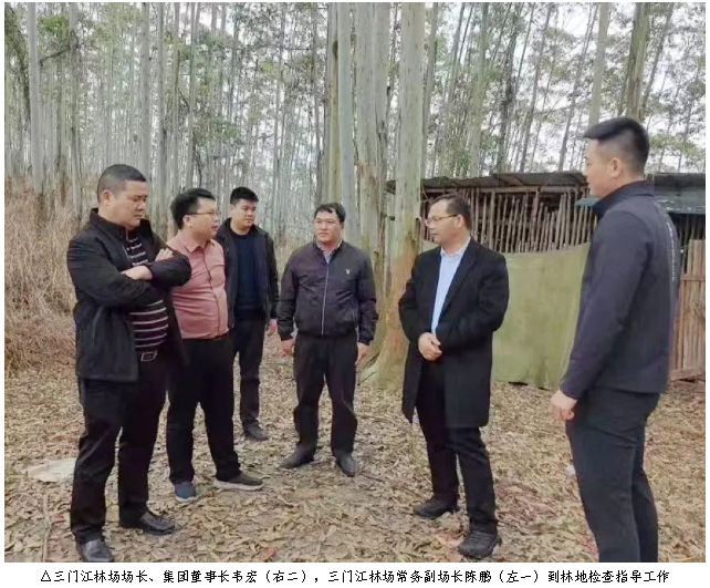 78m威九国际(集团)中国区有限公司-BinG百科