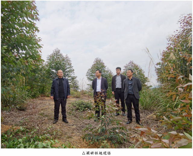 78m威九国际(集团)中国区有限公司-BinG百科