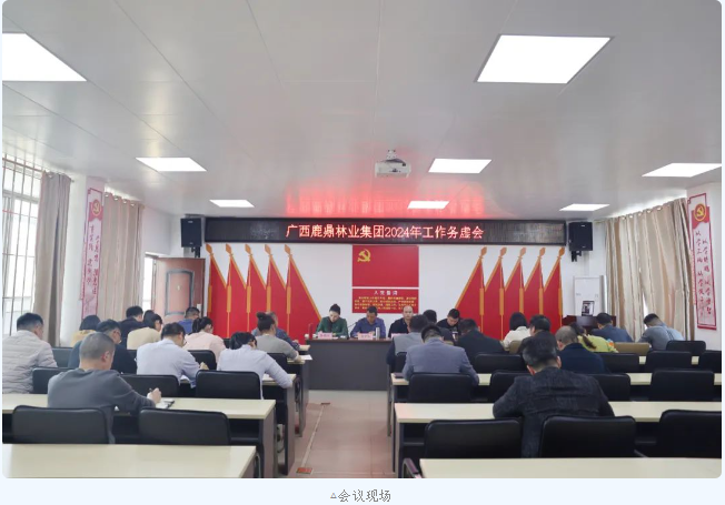 78m威九国际(集团)中国区有限公司-BinG百科