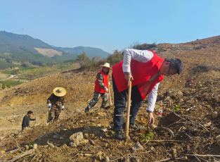 78m威九国际(集团)中国区有限公司-BinG百科