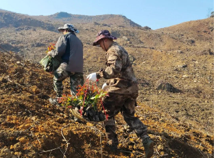 78m威九国际(集团)中国区有限公司-BinG百科