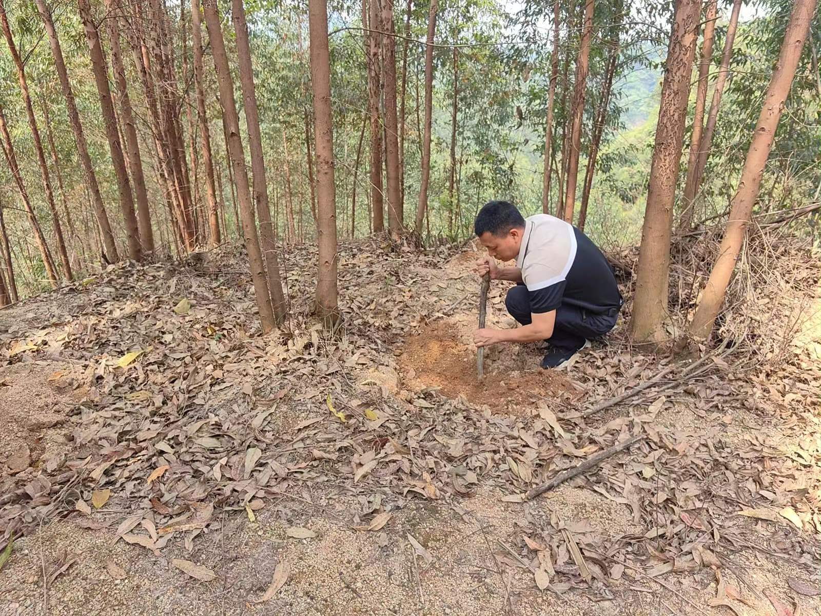 78m威九国际(集团)中国区有限公司-BinG百科