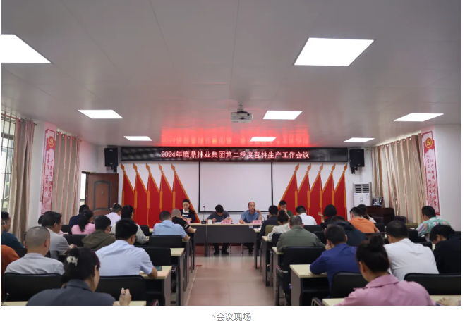 78m威九国际(集团)中国区有限公司-BinG百科