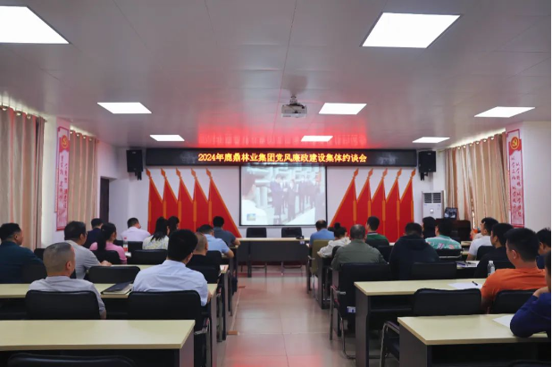 78m威九国际(集团)中国区有限公司-BinG百科