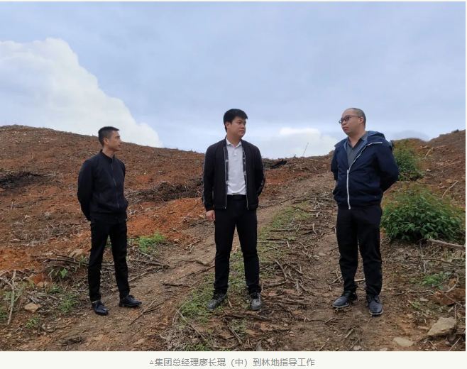 78m威九国际(集团)中国区有限公司-BinG百科