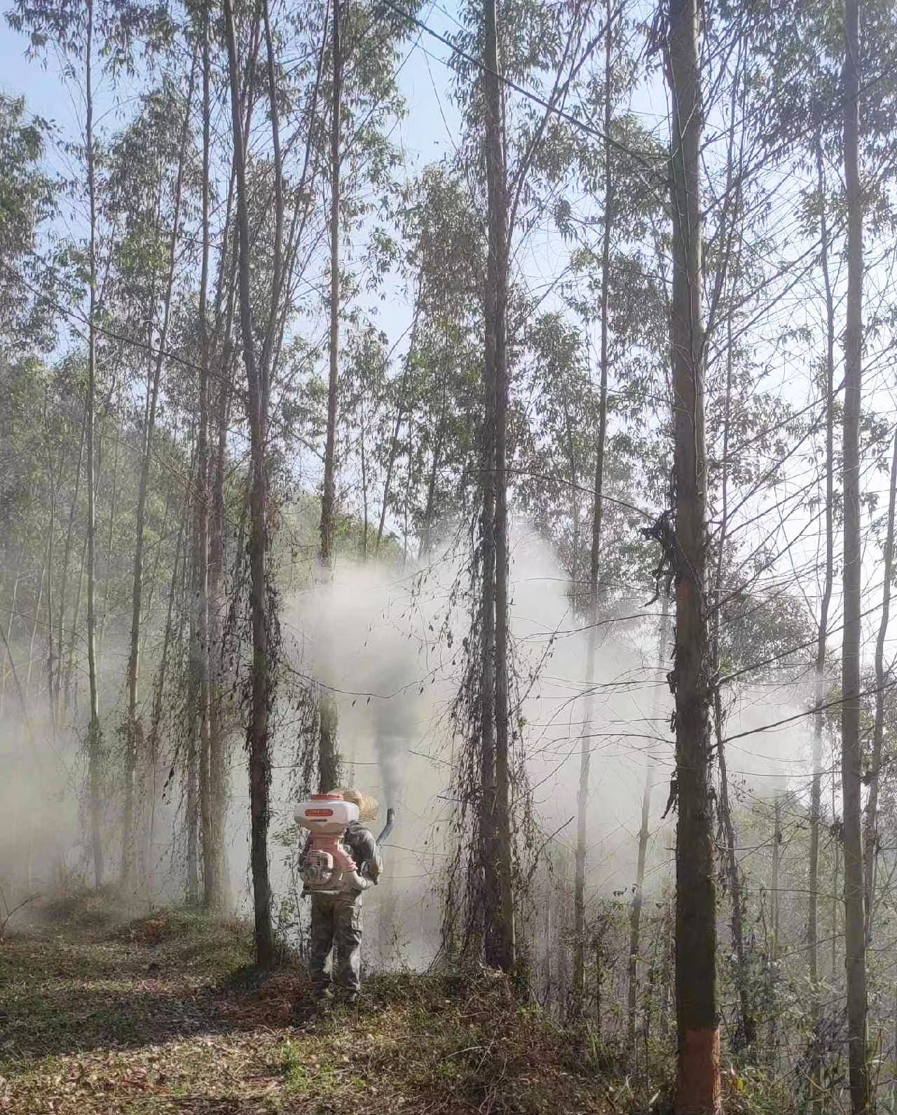 78m威九国际(集团)中国区有限公司-BinG百科