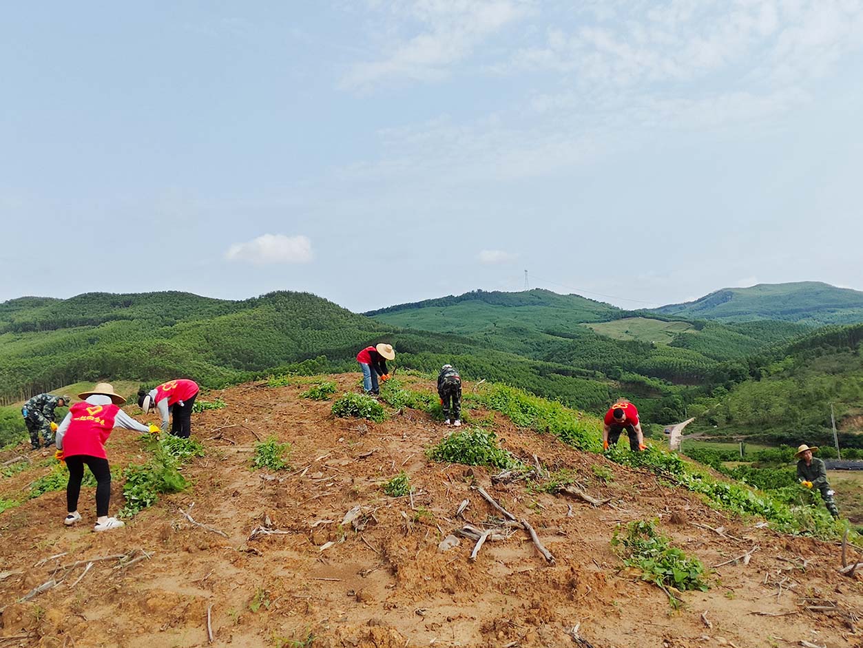 78m威九国际(集团)中国区有限公司-BinG百科