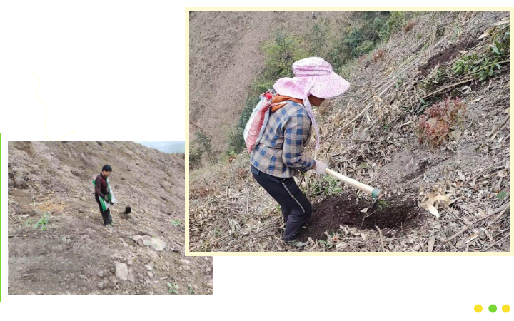 78m威九国际(集团)中国区有限公司-BinG百科