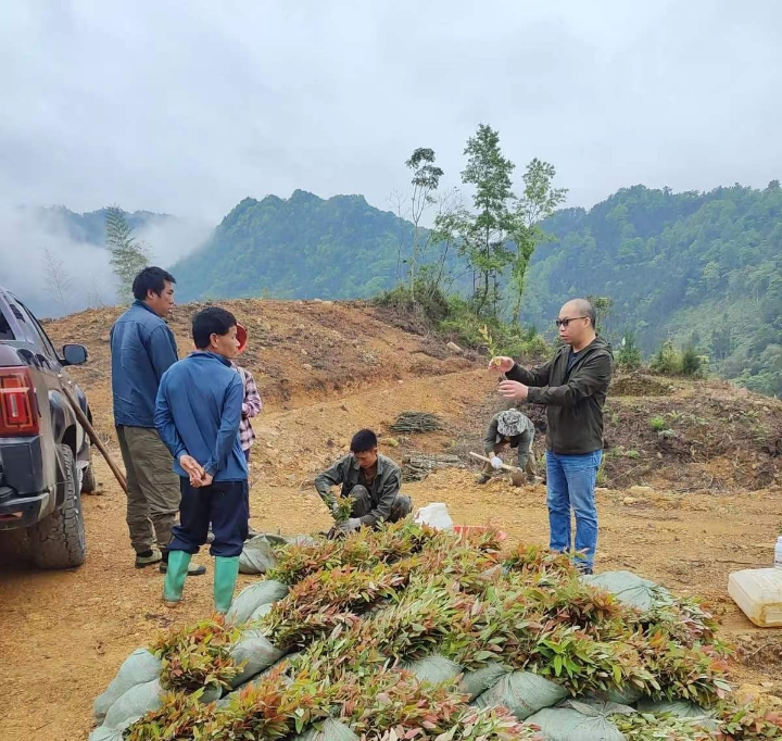 78m威九国际(集团)中国区有限公司-BinG百科