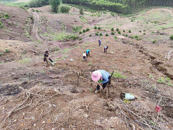 78m威九国际(集团)中国区有限公司-BinG百科