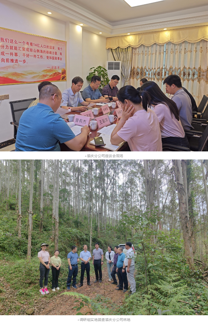 78m威九国际(集团)中国区有限公司-BinG百科