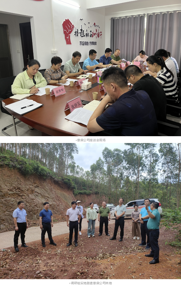 78m威九国际(集团)中国区有限公司-BinG百科