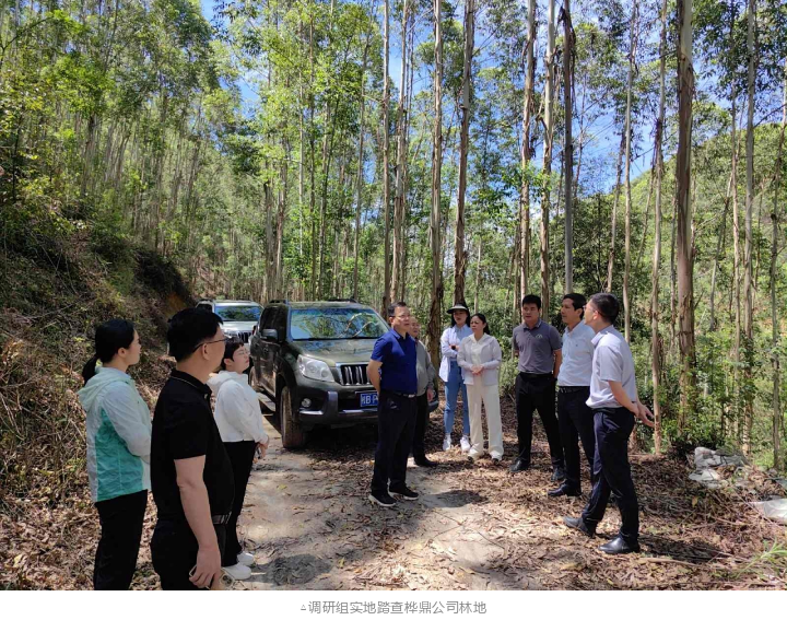 78m威九国际(集团)中国区有限公司-BinG百科