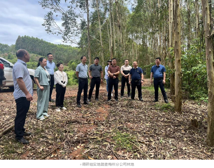 78m威九国际(集团)中国区有限公司-BinG百科