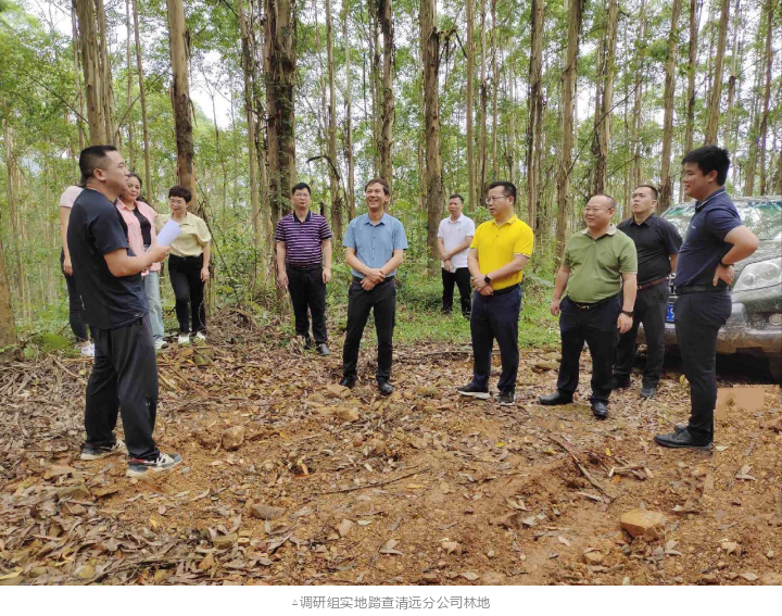 78m威九国际(集团)中国区有限公司-BinG百科