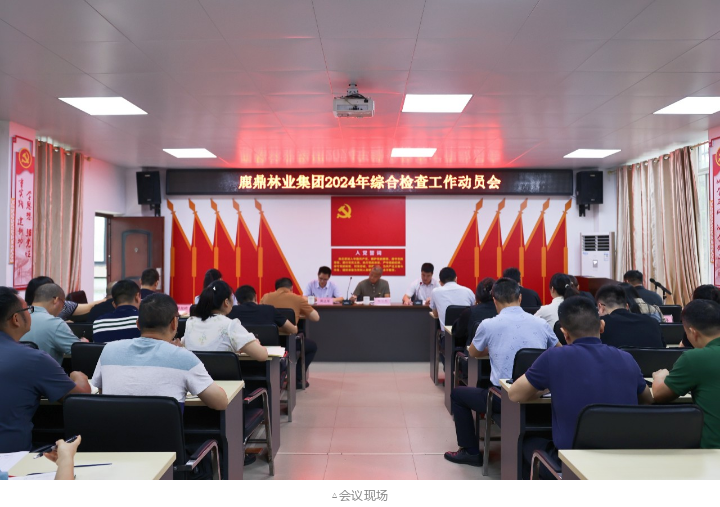 78m威九国际(集团)中国区有限公司-BinG百科