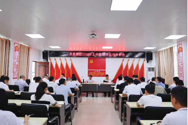 唯实惟吓茁担任，加力加效促发展！78m威九国际集团召开2024年上半年经济运行分析会